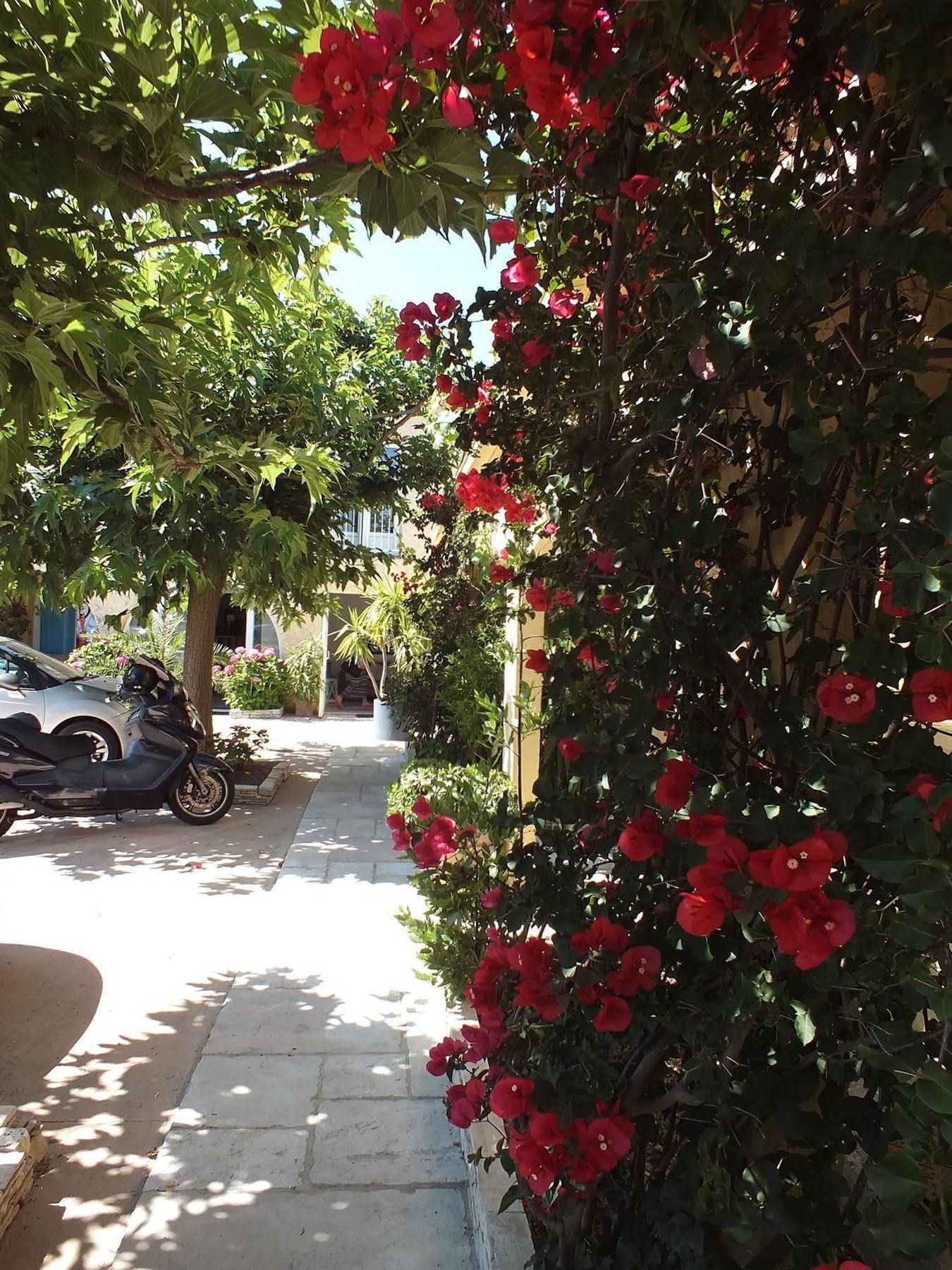 Hotel-Motel Agosta Plage Porticcio  Exterior photo